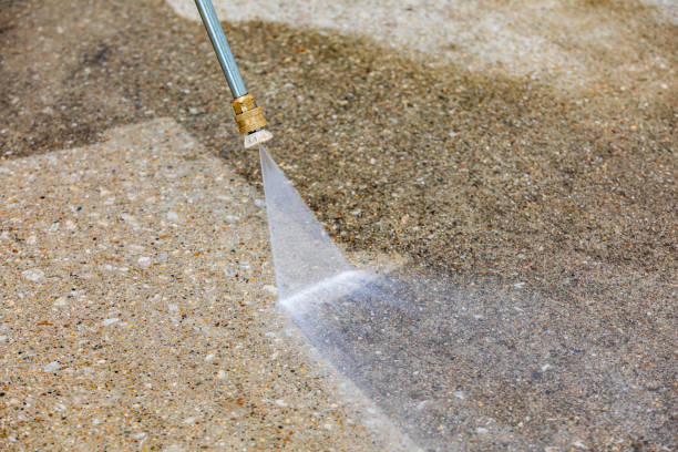 Best Soft Washing  in Monmouth, OR